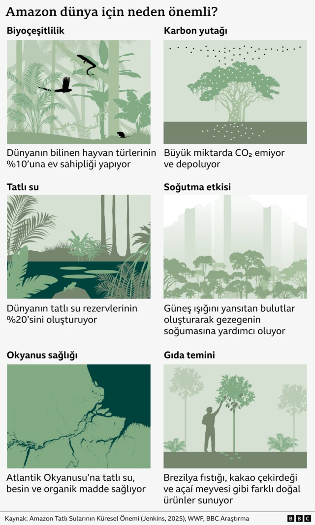Amazonun önemini gösteren infografik. 