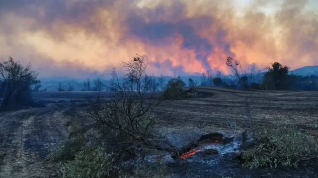 пожежі в туреччині