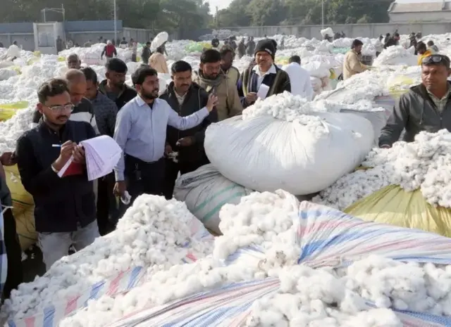 ગુજરાત, મગફળીનું વાવેતર, કપાસનું વાવેતર, ગુજરાતના મુખ્ય પાકો, બીબીસી ગુજરાતી, ગુજરાતની ખેતી, ગુજરાતમાં ખેતી, ખેત ઉત્પાદન, જૂનાગઢ