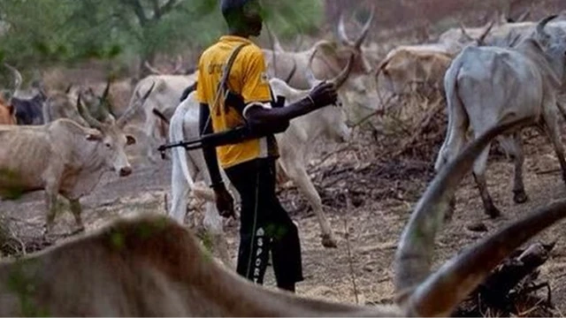 Darandaran fulani ati maalu rẹ