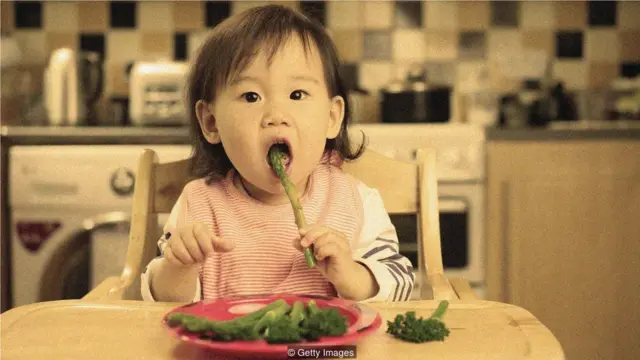 或許可以利用人們的可塑記憶，來改變他們喜歡和不喜歡什麼食物，進而改變飲食習慣。