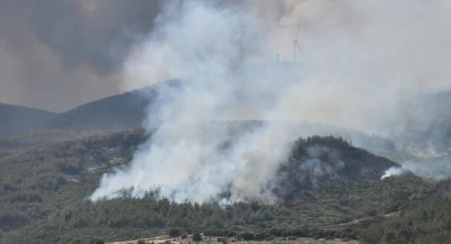 Şarköy'deki yangının 16 Temmuz'da paylaşılan bir görüntüsünde ormanlık alandan yoğun bir duman çıkyor