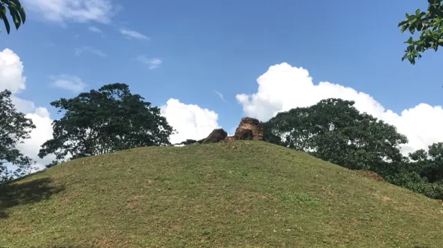 అస్సోం, మైదామ్, యునెస్కో