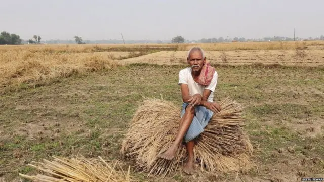 ਕਿਸਾਨ, ਖੇਤੀਬਾੜੀ