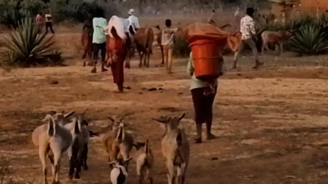 Namoota horoo ooffatanii godaanaan jiran