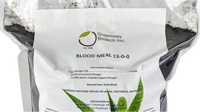 ब्लड मील