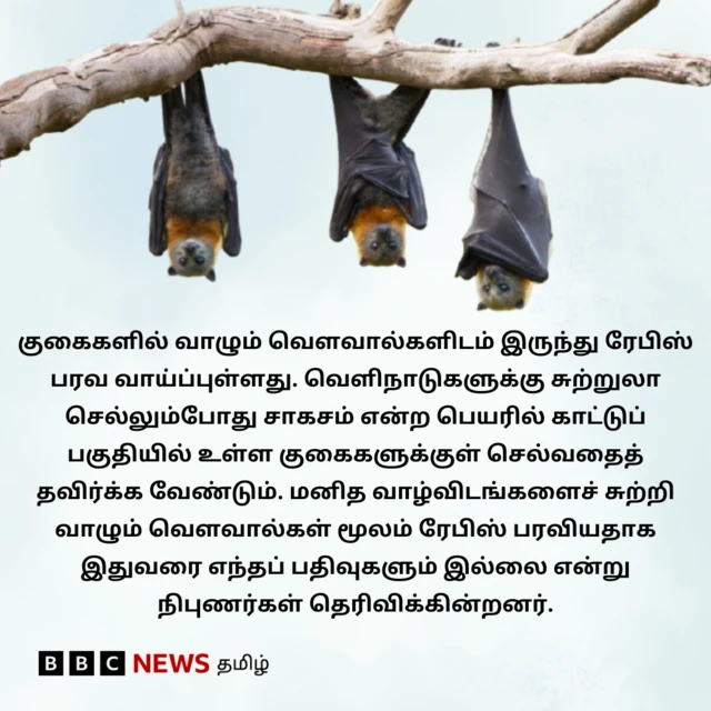 குகைகளில் வாழும் வௌவால்களிடம் இருந்து ரேபிஸ் பரவ வாய்ப்புள்ளது. வெளிநாடுகளுக்கு சுற்றுலா செல்லும்போது சாகசம் என்ற பெயரில் காட்டுப்பகுதியில் உள்ள குகைகளுக்குள் செல்வதைத் தவிர்க்க வேண்டும். மனிதர்களின் வாழ்விடங்களைச் சுற்றி வாழும் வௌவால்கள் மூலம் ரேபிஸ் பரவியதாக இதுவரை எந்தப் பதிவுகளும் இல்லை என்று நிபுணர்கள் தெரிவிக்கின்றனர்.