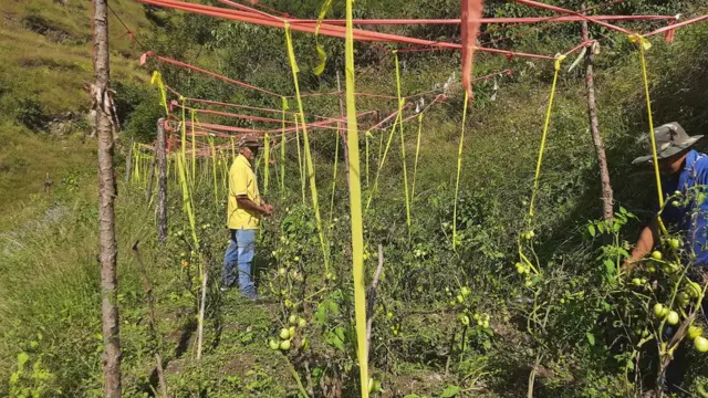 गुड्डू देवराज