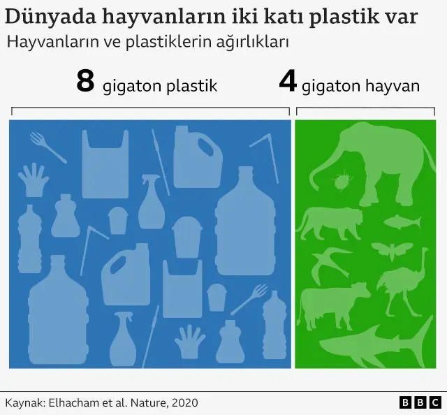 Dünyadaki hayvanların ve plastiklerin ağırlıklarını gösteren bir grafik. Bunlar sırasıyla 4 gigaton ve 8 gigaton
