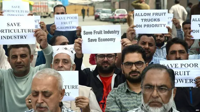 कश्मीरी सेब