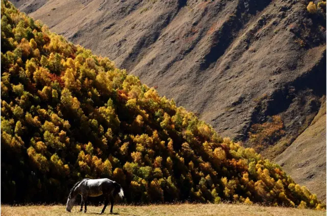 有人說，金卡裏起源於第比利斯北部崎嶇的山區。