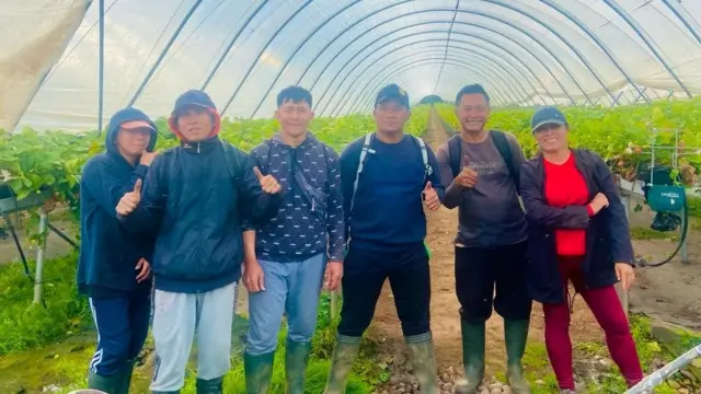 Agus Hariyono dan Pingkan Lidya di perkebunan Dearnsdale.