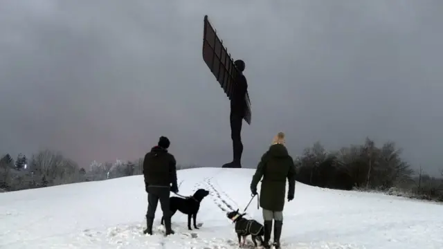 люди с собаками возле скульптуры