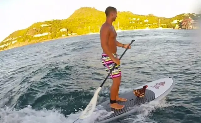 Monique provou ser uma especialista em stand-up paddle