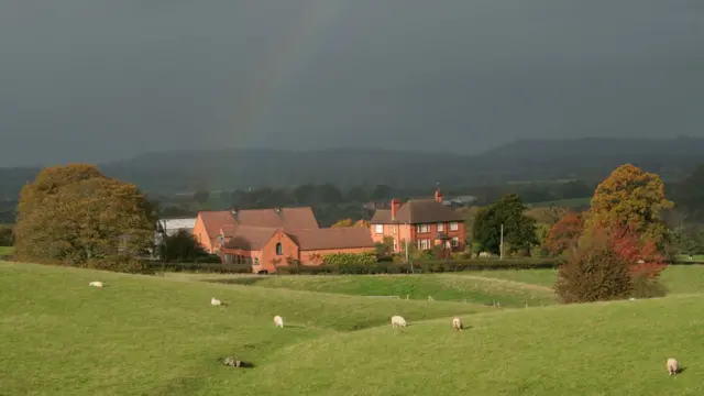 Ферма в Чешире