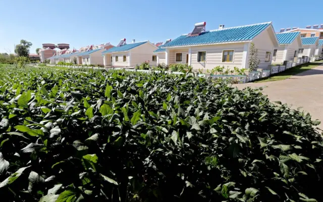 фрема Джанчон под Пхеньяном