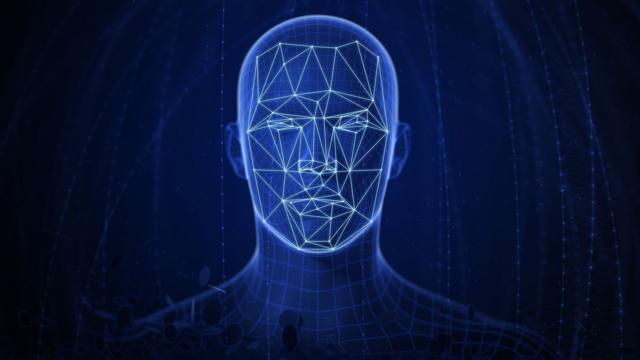 Ilustração digital de um rosto humano com linhas sugerindo a busca por simetria