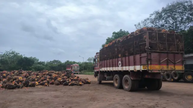 పామాయిల్ గెలల రవాణా