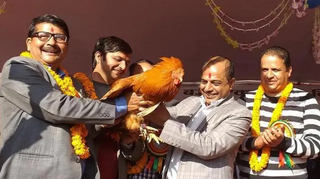 चक्रपाणि खनाललाई बधिया उपहार