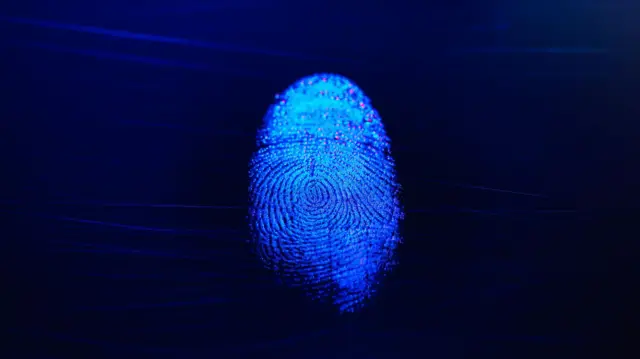 கோவை வன மரபியல் மற்றும் மரப்பெருக்கு நிறுவனம் 