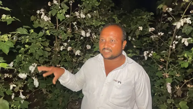 બીબીસી ગુજરાતી, મગફળી, કપાસ, જીરું, ખેતીને નુકસાન, ભૂપેન્દ્ર પટેલ, ગુજરાતની ખેતી, રાજકોટ, જૂનાગઢ, ગીર સોમનાથ, બનાસકાંઠા