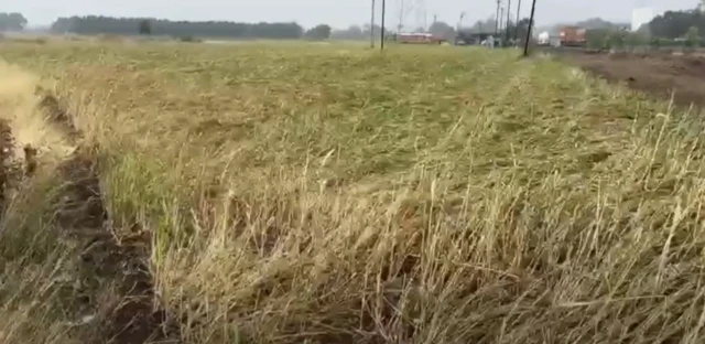 કમોસમી વરસાદ