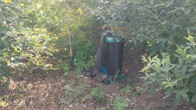 ગીર, ગીર અભયારણ્ય, ગુજરાત, જૂનાગઢ, સિંહ, સિંહણનો હુમલો, વનકર્મીનું મોત, પોલીસ, કાયદો, ગીરનો સિંહ, વનવિભાગ, બીબીસી ગુજરાતી