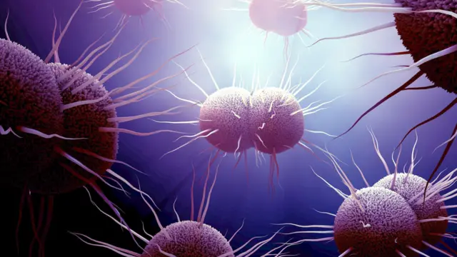 Бактерія Neisseria gonorrhoeae, гонорея — стокове фото