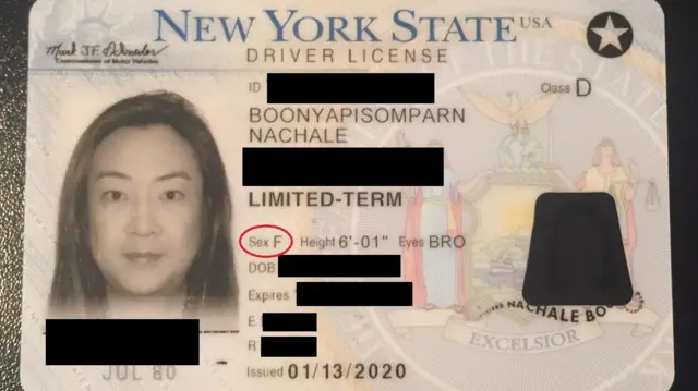 ใบขับขี่