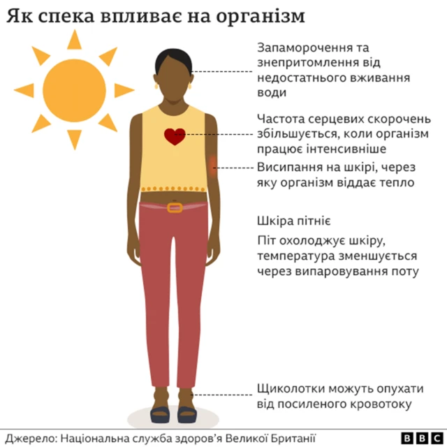 Як спека впливає на організм
