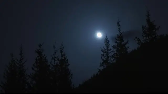 Тоодогу айлуу түн