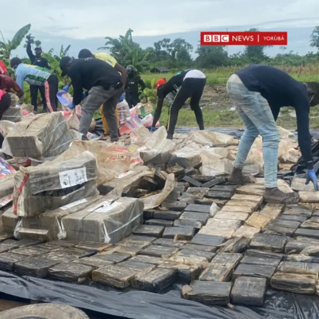 Egbògi olóró tí wọ́n fẹ́ dáná sun