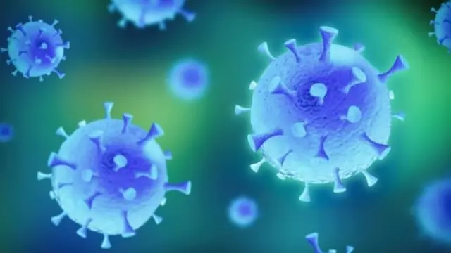 Wawekezaji wanacheza kamare katika kampuni ambazo zinatenegenza chanjo na huduma kwa wale wasiotoka kuondoka katika makaazi yao