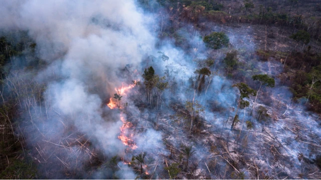 Fogo na Amazônia