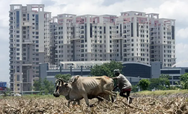 भारतीय किसान