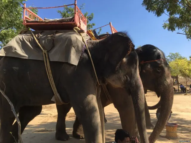 प्रणव लाल, फ़ोटोग्राफ़र, ब्लाइंड फ़ोटोग्राफ़र