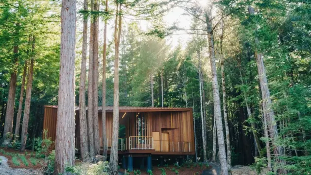 Centro de visitantes.