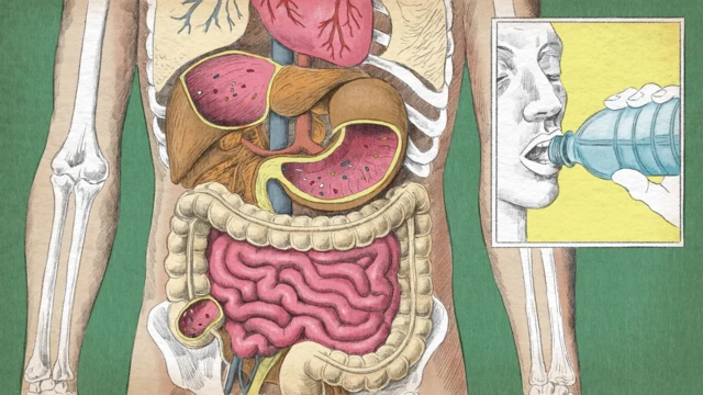  illa ɓurɓushin robobi ke yi ga jikinmu? 