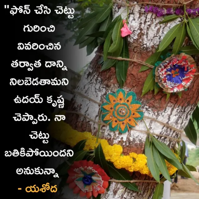 నాగర్ కర్నూల్, తెలంగాణ, రాఖీ పండుగ, పర్యావరణం