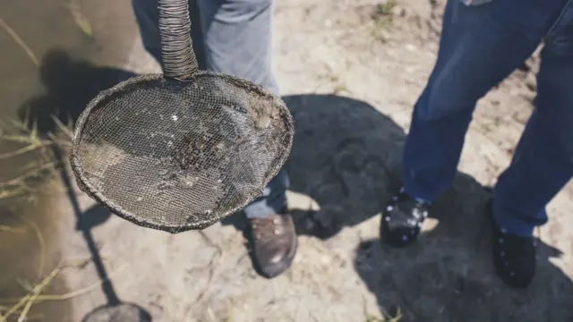 Imagen tomada en Jaboatão dos Guararapes, Pernambuco, Brazil, 2015, en una de las zonas donde la esquistosomiasis es endémica