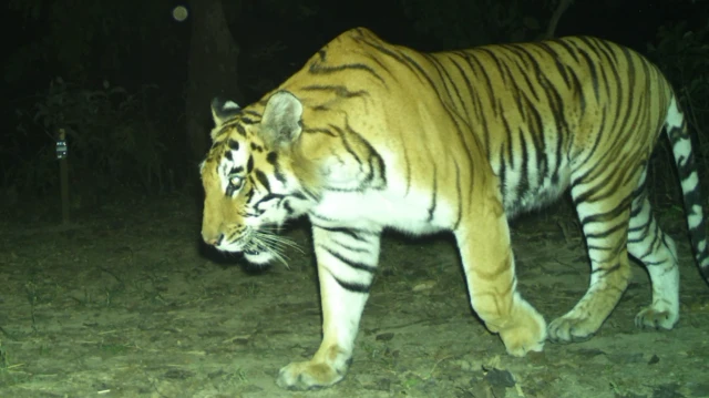 शिवपोथीको सन्तान