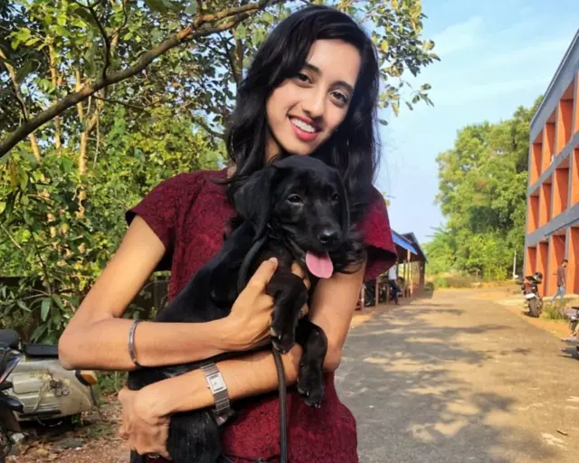 કૂતરાનું કરડવું 