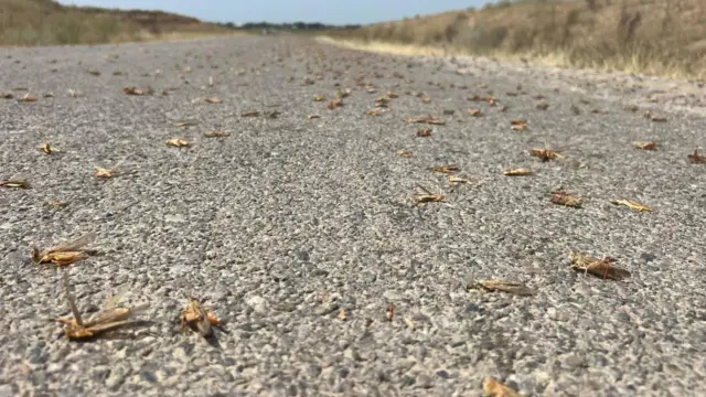 Азаттык радиосунун Казак кызматы тарткан сүрөт. 