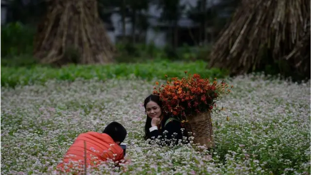 ভিয়েতনামে ঢেমশি চাষের মাঠে একজন পর্যটক।