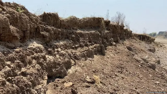 मोठमोठ्या यंत्राच्या साहाय्यानं वाळू माफियांनी पूर्णा नदीचे काठ अशाप्रकारे ओरबाडले आहेत.