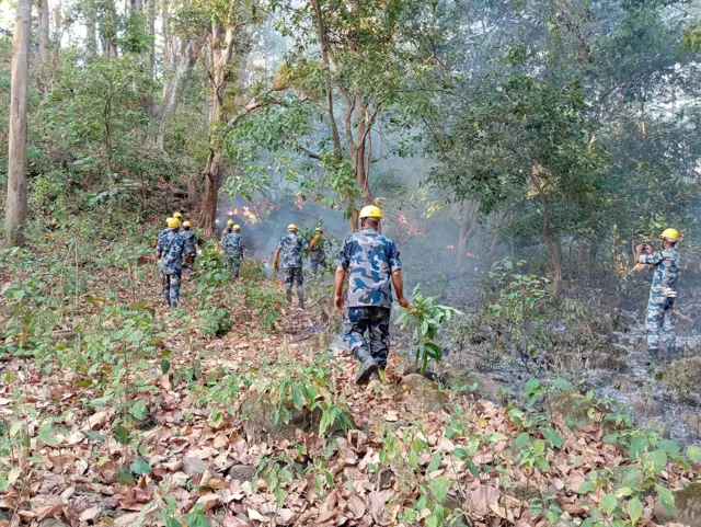पानी नपर्दा देशका विभिन्न ठाउँमा आगलागी र डढेलो समेत लागेका छन्