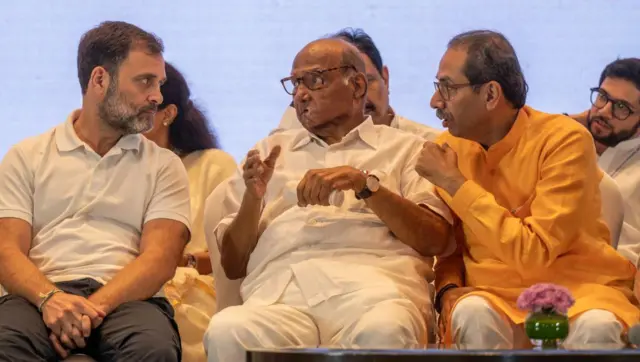 મહારાષ્ટ્ર વિધાનસભા ચૂંટણી 2024, ઝારખંડ વિધાનસભા ચૂંટણી, પેટાચૂંટણી, ભાજપ, કૉંગ્રેસ, બીબીસી ગુજરાતી