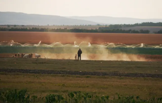 Чоловік спиною до камери стоїть на відстані у полі