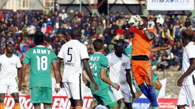 दाउफिन्स