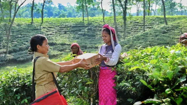 डिजीपीन